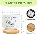 Funny Succulent Planters for Indoor Plants, Coworker Thank You Gifts, Farewell Going Away Appreciation Inspirational 3.5 inch Ceramic Cactus Planter Pots for Women Men Friend Boss Lady (No Plants)