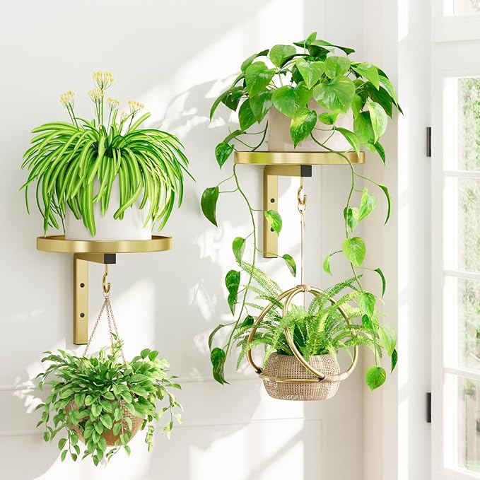 iDavosic.ly Wall Plant Holder Set of 2 for Indoor Outdoor, Metal Hanger with 2 Hooks, Floating Flower Display Stand for Window, Space Saving & Easy to Assemble (Pots/Chains/Plants Not Included), Gold