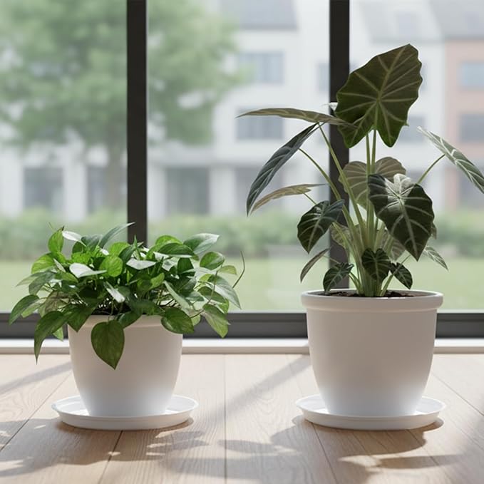 TRUEDAYS 20 Pack White Plant Saucers – 4 Sizes (6"/8"/10"/12") Plastic Flower Pot Trays for Indoor & Outdoor Plants, Drip Trays to Protect Floors & Surfaces