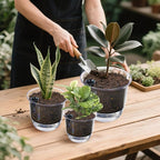 Plant Pots 6 inch Set of 3, Self Watering Pots for Indoor Outdoor Plants Flowers, Self Watering Planters with Reservoir, Drainage Hole and Absorbent Cotton Rope (3 Large)