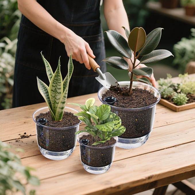 Plant Pots 6 inch Set of 3, Self Watering Pots for Indoor Outdoor Plants Flowers, Self Watering Planters with Reservoir, Drainage Hole and Absorbent Cotton Rope (3 Large)