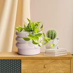 Tiered Bubble Ceramic Plant Pot, Creamy White 6 Inch Ceramic Planter with Drainage Holes, Flower Pot with Mesh Pad, Rubber Plugs, Plante Pots for Indoor Plants Outdoor, Modern Décor