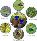 Fruit Fly Traps, 100 Pack Blue Sticky Traps, Fungus Gnat Traps, Plant Fly Stickers for Indoor and Outdoor Use Protect The Plant