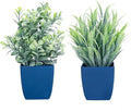 summer flower 2 Pack Fake Plants in Pot Small Artificial Eucalyptus Potted Plant Faux Rosemary in Pot Greenery for Home Decor Indoor Office Shelf Table Desk Bathroom Decoration (Blue-2)