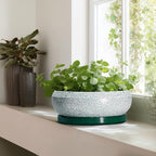 Bonsai Pots 13 Inch - Shallow Ceramic Planter with Drainage Hole and Saucer, Round Succulent Pots for Indoor Outdoor, Large Succulent Planter, Apartment Decor, Gardening Gifts, Green