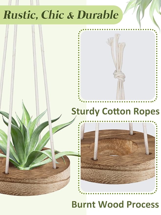 6 Pcs Hanging Wooden Air Plant Holder - 3" Round Airplants Live Hanger with Ropes, Rustic Tillandsia Succulent Display Container Stand for Home Office Decor Housewarming Gift (Excluding Plants)