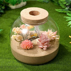 ULTECHNOVO Glass Terrarium Jar with Wood Stopper for Hydroponic Plants and Moss - 5.90 Inch Airtight Container for Micro Landscape Decor in Bedroom, Office, or as Gift for DIY Gardeners