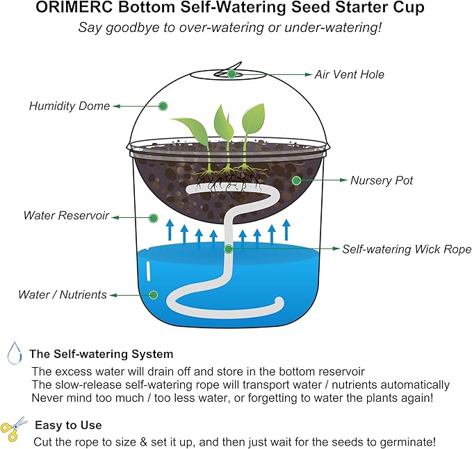 ORIMERC 4 inch Clear Nursery Pots with Drainage, Garden Pots for seeds, Seedling Pots for Plants, Self Watering Small Plant Pots, Plastic Seed Starter Planting Pots for Vegetable Fruit Flower (60 Set)