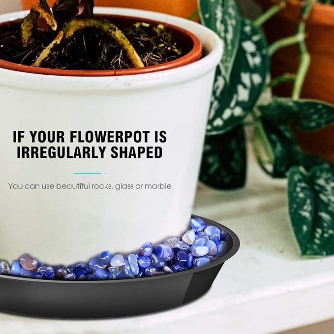 6 Pack Plant Saucer 6 8 10 Inch Plastic Plant Tray, Sturdy and Durable Flower Pot Container Accessories Plant Pot Saucers for Indoor and Outdoor (6 8 10 Inch, Black)
