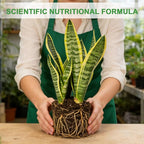 Organic Snake Plant Potting Soil 10qt- Well-Draining Nutrient-Rich Mix for Healthy Roots & Faster Growth, Natural Soil for Sansevieria Plants