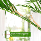 Rainteam Plant Animal Decor Brass Plant Charms for Live Plants Cute Animal Plant Hanger Ornaments for Pots Garden Plant Decorations Plant Accessories Gift for Plant Lovers (2 Mantis)