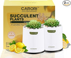2 Pack Artificial Succulent Plants with Subtle Lemon, Faux Indoor Plants for Home Decor, Small Fake Plant for Bathroom, Bedroom, Office Decor, Aesthetic Room Accessories, Housewarming Gift