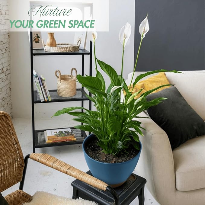 montresor 12/10/8 Inch Self Watering Pots for Indoor Plants Plastic Large Plant Pots for Outdoor Plants, Water Level Window & Spacious Reservoir Flower Pots Decorative Planter with Drainage and Tray