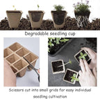 144 Cells Seed Entry Tray, 12 Packs Biodegradable Seedling Peat Pots, Organic Germinating Plant Entry Kit with 100 White Labels and 2 Planting Transplanters