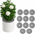 10 Pcs Plant Pot Grids,12 Inch Plant Soil Covers, Round Protectors for Indoor Plants, Plant Protector from Cats Indoor, Adjustable for Various Pot Sizes