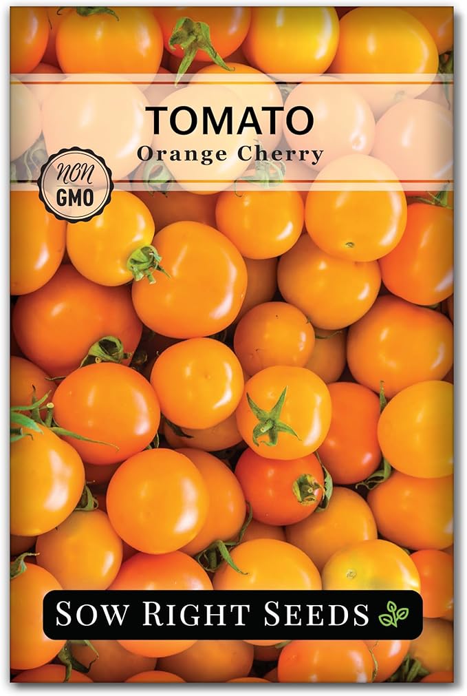 Sow Right Seeds - Orange Cherry Tomato Seeds for Planting - Non-GMO Heirloom Packet with Instructions to Plant & Grow an Outdoor Home Vegetable Garden - High Yield Salad Tomato - Great Gift (1)