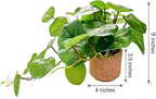 9'' Artificial Hanging Plant with Round Leaves Trailing Faux Greenery in Tan Diamond Planter with Foot Pads Small Indoor Fake Plant for Shelf, Bathroom, or Office Wall Decor