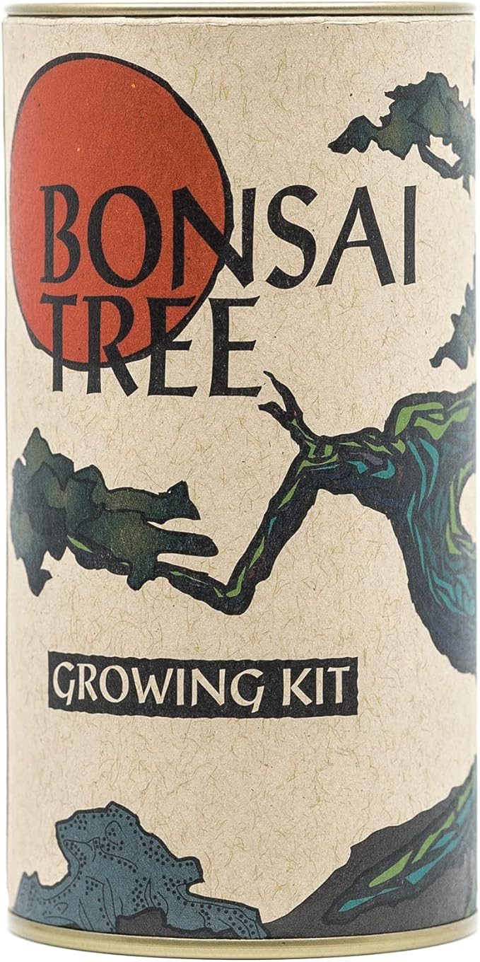 Bonsai Tree | Chinese Juniper | Seed Grow Kit | The Jonsteen Company