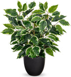 GnFlus Fake Plant 15.7” Artificial Plants Indoor Small Ficus Potted Plants Silk Plants Faux Topiary Plant for Home Bathroom Bedroom Dining Room Kitchen Window Shelf Desk Centerpieces Tabletop Decor