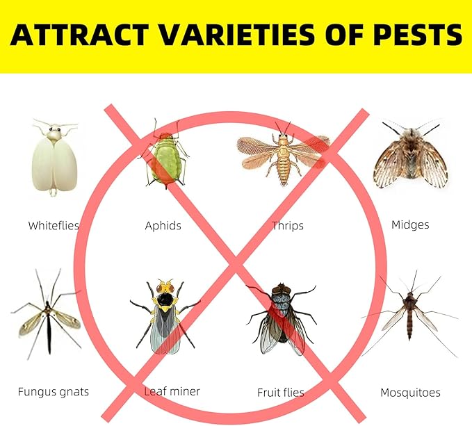 36PCS Fruit Fly Sticky Traps Fungus Gnat Traps Insect Trap for Plants Kitchen Indoor Outdoor White Flies Mosquitos Fungus Gnats Flying Insects Houseplant Gifts (Mushroom Shape)