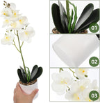 Holibanna Artificial Phalaenopsis Bonsai Plant White Faux Orchid Flower Pot Realistic Small Fake Potted Plant Home Decoration for Indoor Living Room
