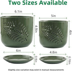 5+6 inch Orchid Pots with Holes, Orchid Pots for Repotting, Healthy Air Circulation Plant Pots for Plant Lovers, Planters for Indoor/Outdoor Plants, Set of 2