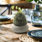 2 Pack Small Fake Plants in Cement Planter for Bathroom Decor, 6.1/5.7 Inch Artificial Plants Indoor, Small Faux Plants Indoor for Home Room Bedroom Farmhouse Kitchen Office Decor