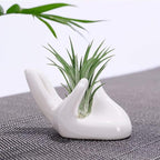 6 Pack Ceramic Air Plant Stand Holder, Hand Shape Tillandsia Airplant Container Pot Tabletop Plant Display Hand Racks for Home Office Decoration Supplies(White)