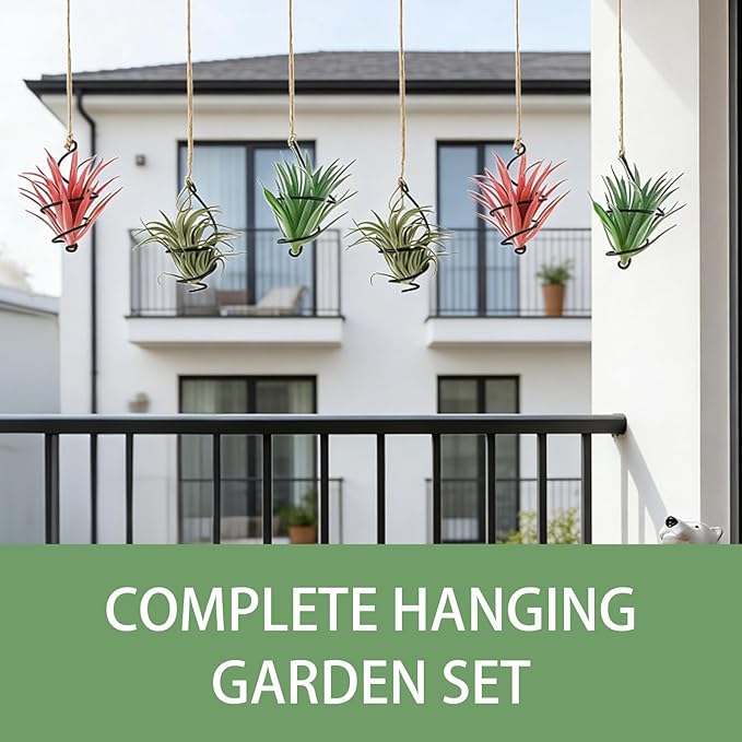 6 Pack Hanging Air Plant Holder, Spiral Wire Metal Hangers for Tillandsia, Adjustable Geometric Airplants Stand with Jute Ropes, Minimalist Wall Window Home Decor, Black Finish