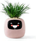 Intelligent Flower Pot, Electronic Bud, Maintenance Plant Assistant, Fun Interactive Flower Pot, Indoor Green Planting Monitoring, LCD Screen Display, Cell Phone APP Connection (Pink)