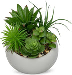 Hollyone Succulents Plants Artificial in Pots Fake Succulents for Outdoors Indoor Faux Succulent Arrangement Potted Plant in Cement Planter Bowl for Garden Office Desk Shelf Living Room Home Decor