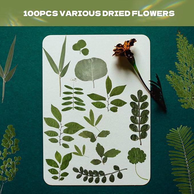 63 Pcs Dried Flowers for Resin, 21 Styles Pressed Leaves , Natural Dry Leaves for Pressed Leaf Art Craft DIY Embellishment Decorations