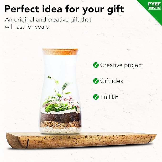 DIY Terrarium Kit for Plants – Build a Self‑Sustaining Closed Ecosystem – Supplies for Up to 68 oz (1‑2 Liter) – Succulents, Air Plants (Tillandsia), Fern – Jar Not Included