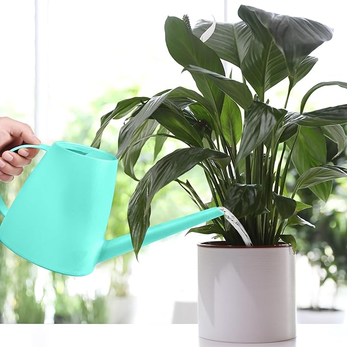 Watering Can - for Indoor and Outdoor House Plant Garden - with Long Spout - 1/2 Gallon - SkyBlue