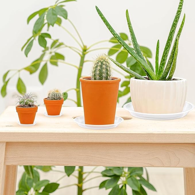 Augshy 18-Piece Flowerpot Tray, Clear Plant Pot Saucers, Reliable Plant Trays for Pots,4/6 Inches Transparent Plant Pot Trays, Water-Repellent Plant Saucers for Gardens, Balconies and Indoors