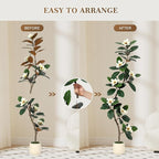 6ft Artificial Rubber Tree with 7 Pcs Magnolia Flowers,Tall Fake Tree with White Planter and Moss Decor,Faux Plants Indoor for Home Living Room Porch Decor