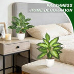 2 Pack Artificial Potted Plants, 16" Fake Plants Indoor in White Pots for Home Bathroom, Office Desk, Shelf - Realistic Faux Greenery Desk for Living Room, Kitchen, Farmhouse Decor