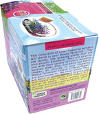 Unique Gardener Mini Office Flower Glass Terrarium Starter Kit with Complete Supplies - The Flowering Mouse Tiny Garden - Easy to Maintain IndoorPlants - Perfect for The Office Or Home Tabletop