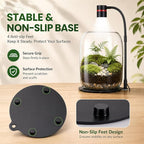 Glass Plant Terrarium with LED Grow Light(H:8.46" D:5.9"), Desktop Terrarium for Venus Fly Trap, Moss & Succulents, Borosilicate Indoor Planter for Home Office Decor