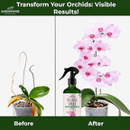 GARDENWISE Premium Orchid Plant Food Mist – Orchid Fertilizer Spray – Orchid Food Fertilizer for Blooming – Orchid Plant Care Formula 3-1-2 – Ready-to-Use (16 OZ)