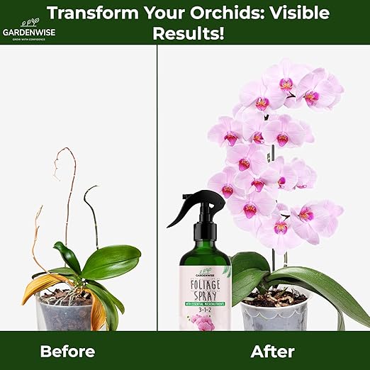 GARDENWISE Premium Orchid Plant Food Mist – Orchid Fertilizer Spray – Orchid Food Fertilizer for Blooming – Orchid Plant Care Formula 3-1-2 – Ready-to-Use (16 OZ)