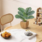 Briful Fake Plants Potted Calathea orbifolia Artificial Plants Indoor Realistic Greenery Faux Plants in Square Plastic Rattan Baskets for Home Decor Farmhouse Office Weddings