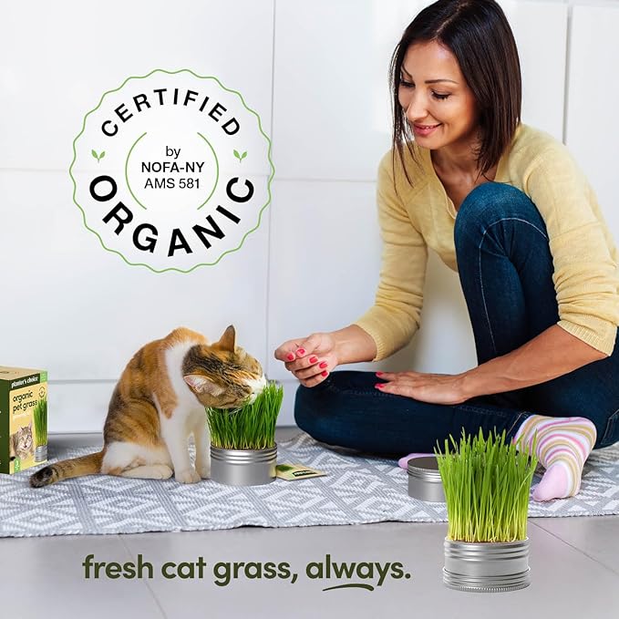 Cat Grass for Indoor Cats Kit - 3 Complete Growing Organic Planter Kits - Grow Your Own Cat Grass - Organic Plant Seeds - Pet Health Supplies Stuff - Gift for Pet Lover