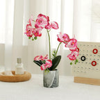 Red Pink Fake Orchids Flowers in Pot Bendable Faux Orchids Artificial Flowers Washable Silk Orchid Phalaenopsis Decor for Home Wedding Table Centerpiece Bathroom Office