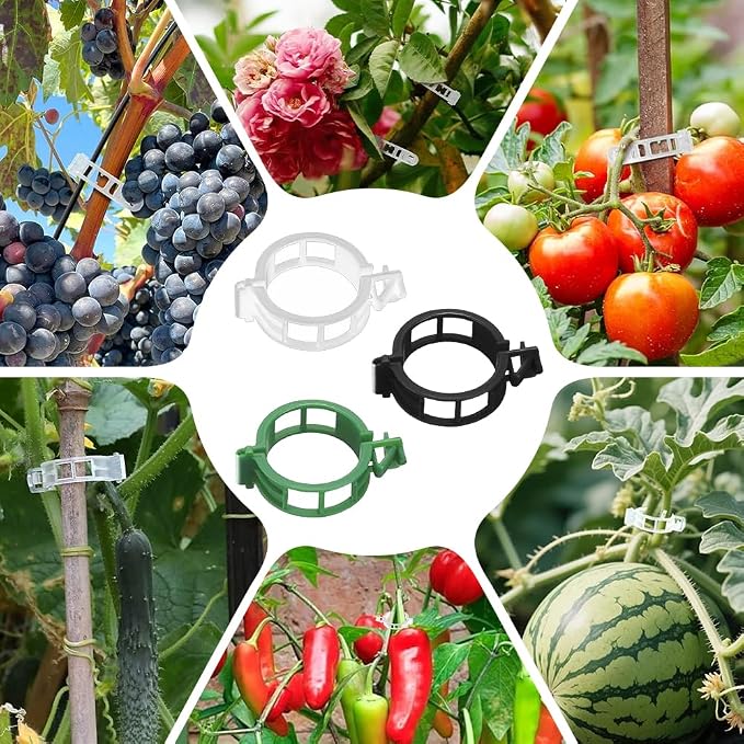 Plant Support Clips, Reusable Plastic Plant Clips for Securing Plants, Garden Clips for Climbing Plants, Plant Fixing Clips for Tomato, Grape and Vine Vegetables (50, Black)