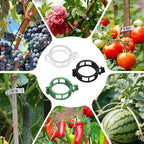 Plant Support Clips, Reusable Plastic Plant Clips for Securing Plants, Garden Clips for Climbing Plants, Plant Fixing Clips for Tomato, Grape and Vine Vegetables (50, Black)