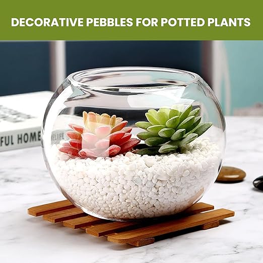 3/8 Inch Polished Decorative Pebbles, River Rocks for Indoor Plants, Succulents, Planters, Vases, Fish Tank, Aquarium Gravel & Landscaping, Snow White, 3LB