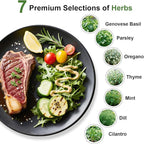 Gourmet Herbs Seed Pod Kit for AeroGarden, iDoo, Ahopegarden, MUFGA Hydroponics Garden with Basil, Parsley, Thyme, Mint, Cilantro, Dill, Oregano - Compatible with All Hydroponics (12-Pod)