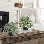 Hollyone Fake Plants 3 Packs Artificial Plants Indoor Faux Plants with Black Plastic Pot Small Fake Potted Plant for Home Aesthetic Living Room Bathroom Desk Shelf Office Decor