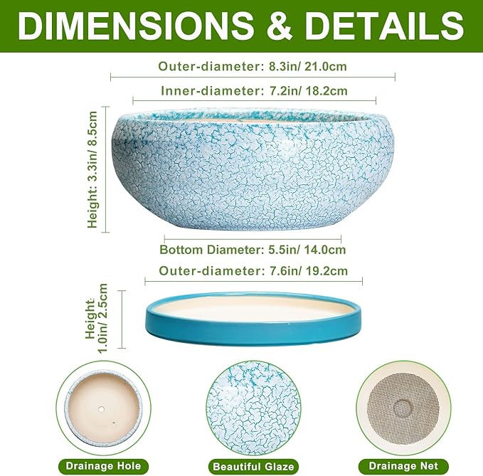 Succulent Pots 8 Inch - Ceramic Bonsai Pots with Drainage Hole and Saucer, Succulent Planters for Indoor Plants Outdoor, Round Shallow Planter Bowl, Porch Decor, Gardening Gifts, Blue
